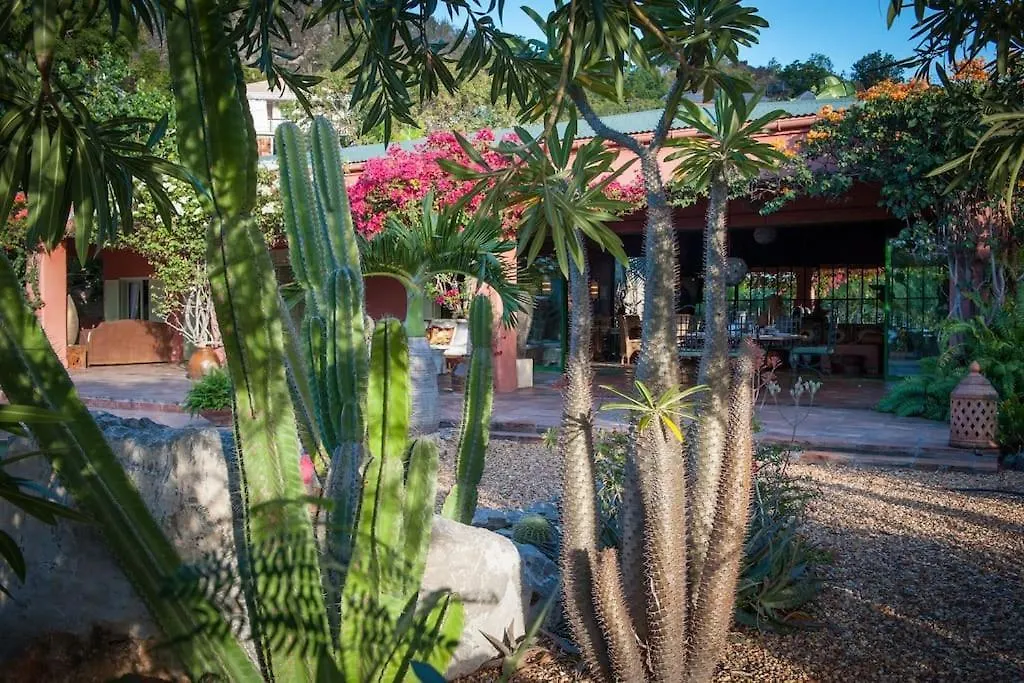 Villa African Queen - St Barth Gustavia